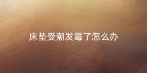 床垫受潮发霉了怎么办