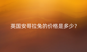 英国安哥拉兔的价格是多少？