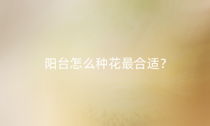 阳台怎么种花最合适？