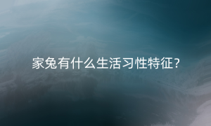 家兔有什么生活习性特征？
