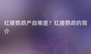 红腰鹦鹉产自哪里？红腰鹦鹉的简介