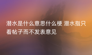 潜水是什么意思什么梗 潜水指只看帖子而不发表意见