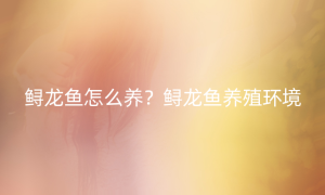 鲟龙鱼怎么养？鲟龙鱼养殖环境
