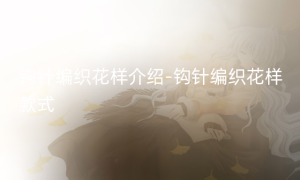 钩针编织花样介绍-钩针编织花样款式