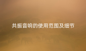 共振音响的使用范围及细节