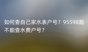 如何查自己家水表户号？95598能不能查水费户号？