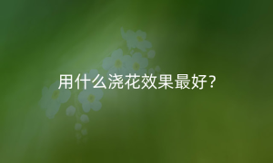 用什么浇花效果最好？