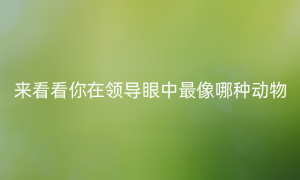 来看看你在领导眼中最像哪种动物