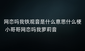 网恋吗我铁观音是什么意思什么梗 小哥哥网恋吗我萝莉音