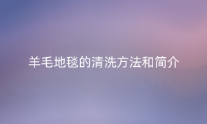 羊毛地毯的清洗方法和简介