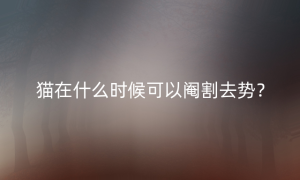 猫在什么时候可以阉割去势？